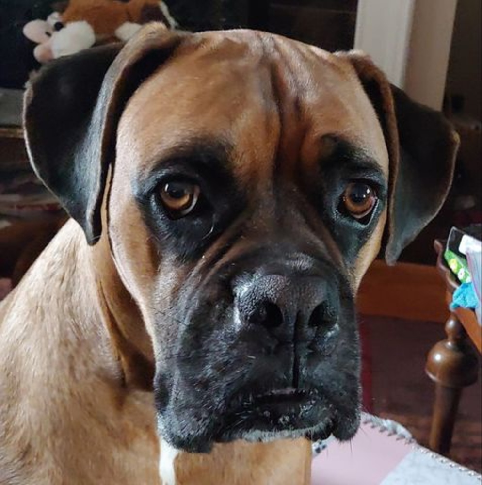 Meet your Posher, Jackson